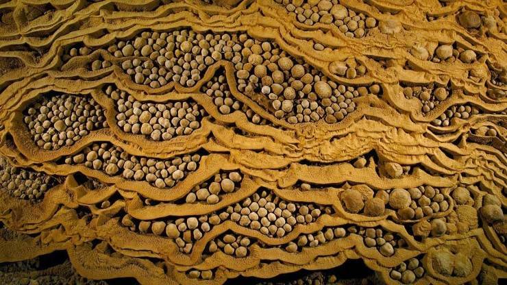 상상속의 동물이 살고 있을것 같은 세계 최대의 동굴(베트남 항손둥 동굴).jpg | 인스티즈