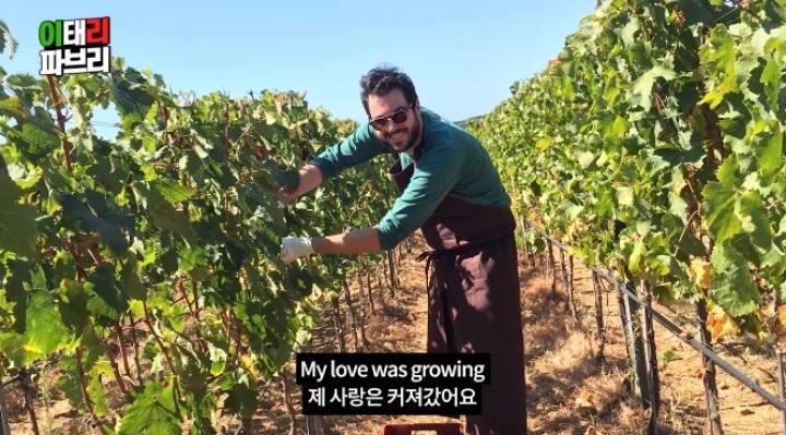  한식대첩 고수외전에 나왔던 이탈리아 셰프 파브리의 당황스러운 근황.jpg | 인스티즈