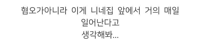 캣맘, 캣대디가 길고양이 먹이 주고 나면 생기는 일.jpg | 인스티즈