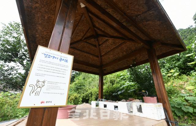 전주시를 사칭한 길고양이 급식소 | 인스티즈