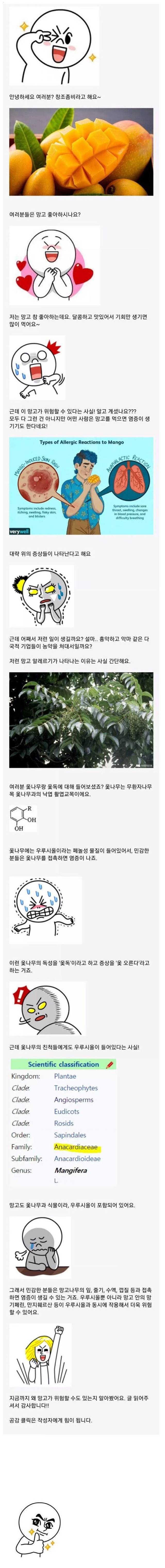 망고가 위험할수도 있는 이유.jpg | 인스티즈