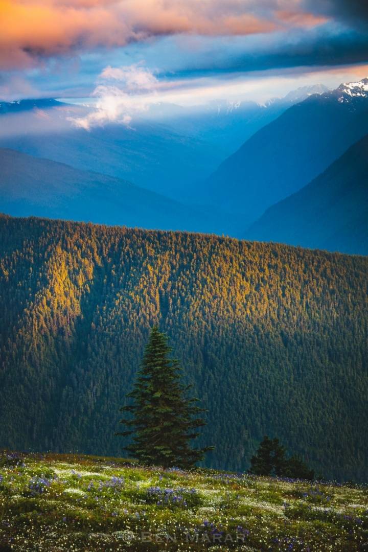 포경수술에 대한 열도누나의 생각.jpg | 인스티즈