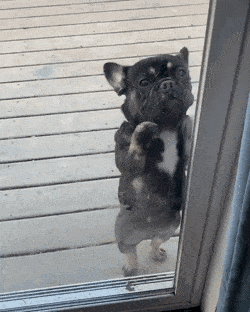 모션인식 도어락 | 인스티즈