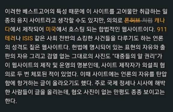 세계의 온갖 잔인한 영상 다 올라오는데 의외로 합법인 사이트.jpg | 인스티즈