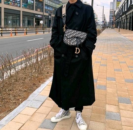 디올 오블리크 테크니컬 캔버스 B23 하이탑 스니커즈 | 인스티즈