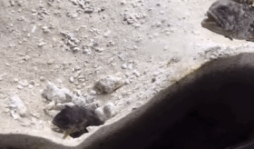 옆집이랑 싸움 | 인스티즈