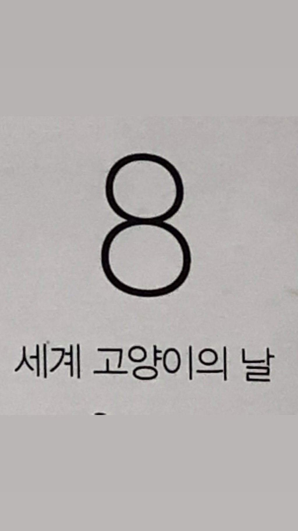 이제 1분 밖에 남지않은 세계 고양이의 날🐈 | 인스티즈