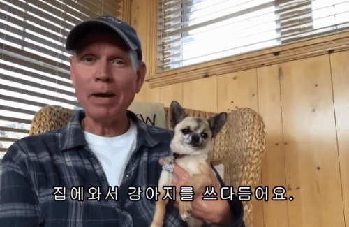 개를 쓰다듬는건 세상에서 가장 편안한 휴식 | 인스티즈