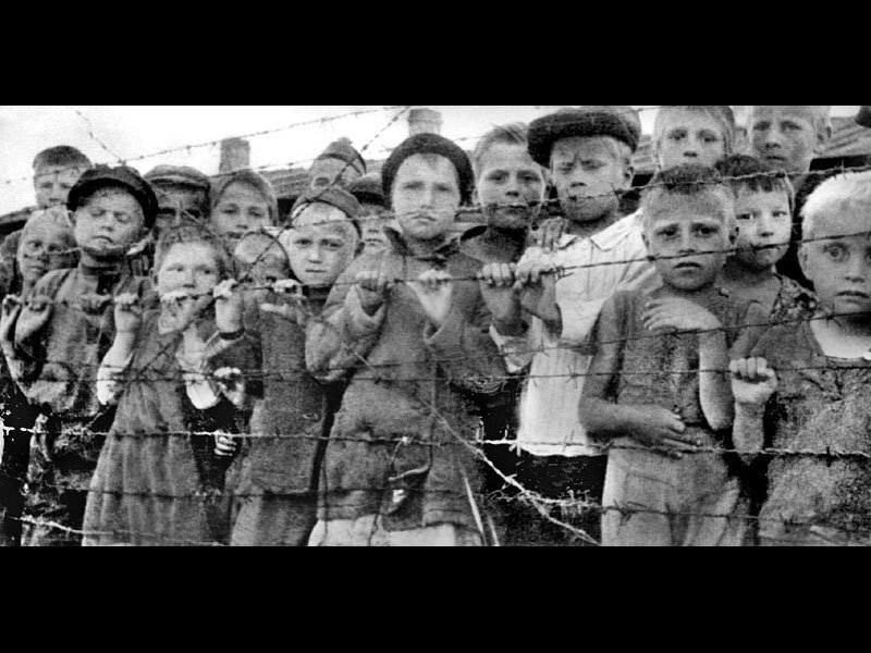 어린이를 대상으로 피를 뽑은 살라스필스 수용소.jpg | 인스티즈