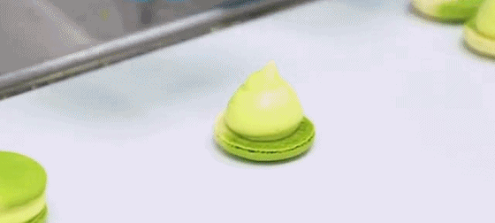 보고 있으면 이유 없이 마음이 편안해지는 짤..gif | 인스티즈