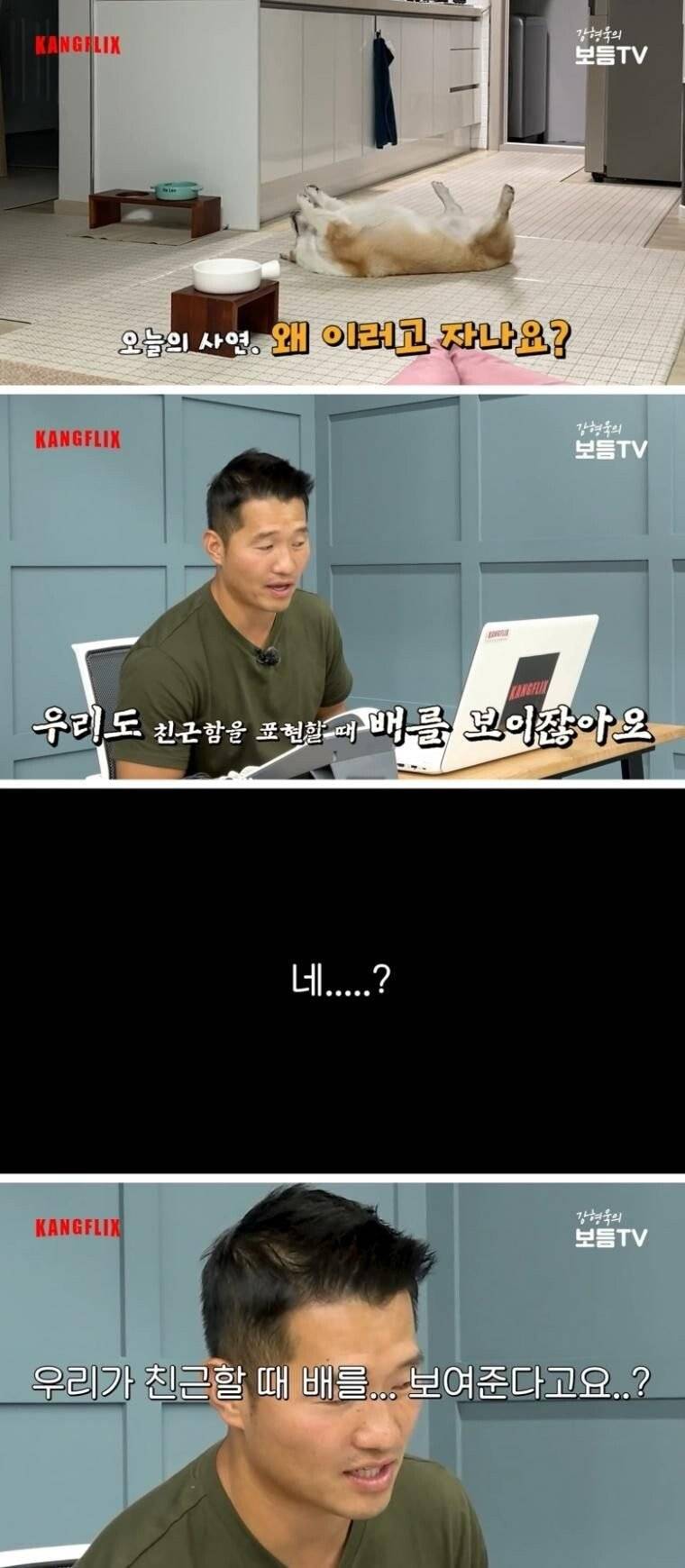 강형욱 논란... | 인스티즈