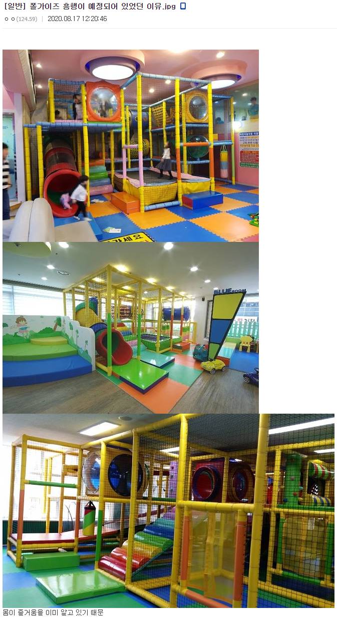 폴가이즈 흥행이 예정되어 있었던 이유 | 인스티즈