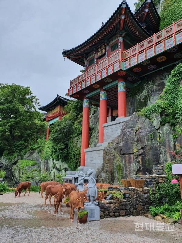 뭔가 합성같이 느껴지는 사진 | 인스티즈
