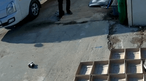 유투버 haha ha님의 지독한 껌딱지가 되어버린 듯한 무.. | 인스티즈