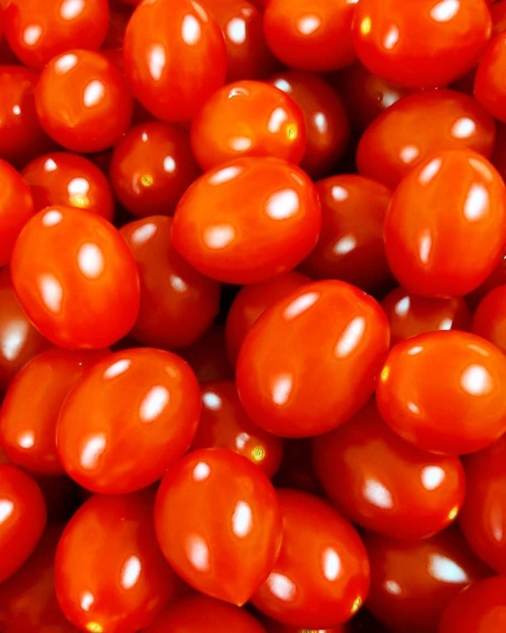 다이어트 중에 절대 먹으면 안된다는 음식.......jpg | 인스티즈