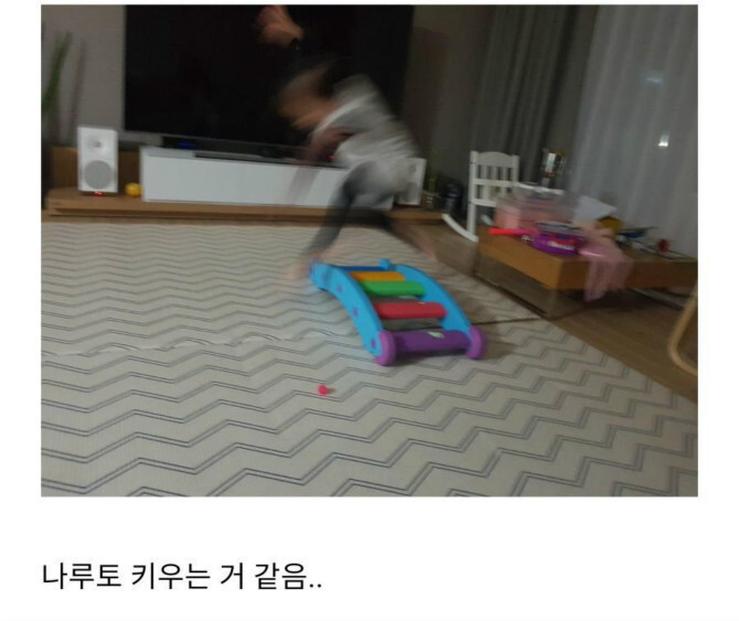 아파트 1층 장점.JPG | 인스티즈