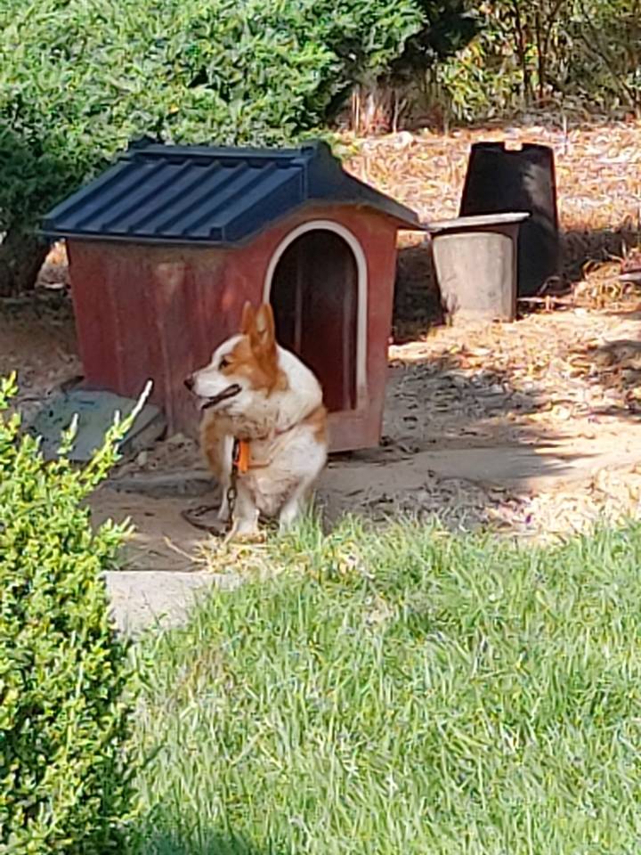요즘 얘들은 모르는 국내 최강의 유부녀 캐릭터 | 인스티즈