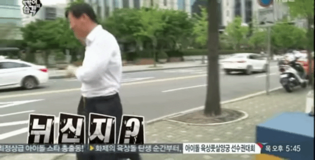 여의도 보호색.gif | 인스티즈