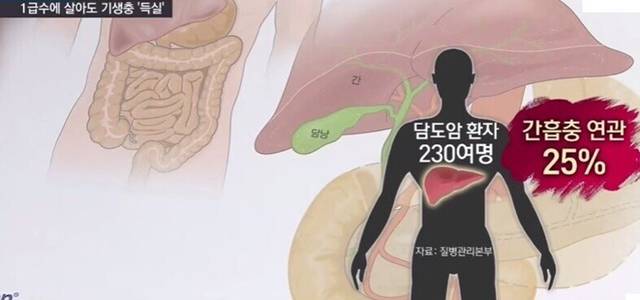 1급수에 사는 민물고기라도 기생충 천지 (혐오주의) | 인스티즈