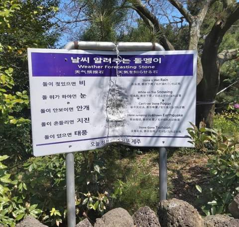 생각보다 정확한 제주도 날씨 알려주는 돌멩이 | 인스티즈