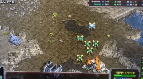 스타크래프트 드라군 사정거리 버그 | 인스티즈