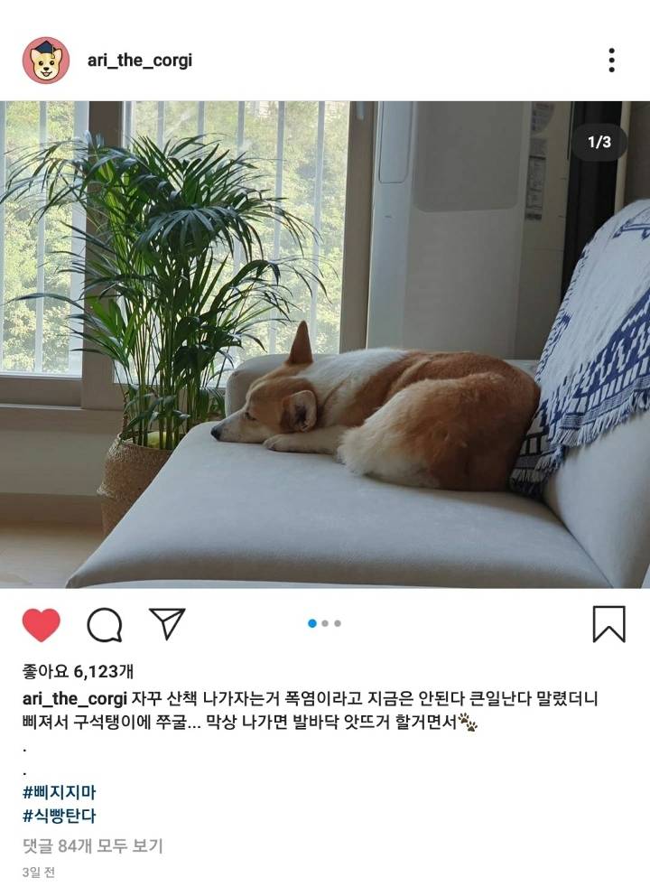 인스타그램 이용자들이 짜증난 이유 | 인스티즈