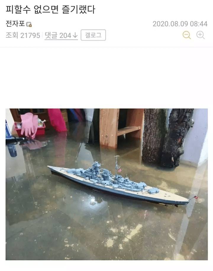 집이 침수된 디씨 토이 갤러리 유저 .JPG | 인스티즈