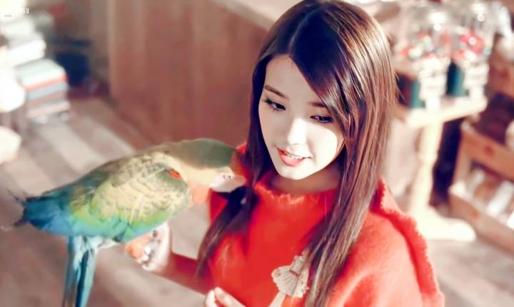 아이유, 사회적 거리두기 독려 눈길 "이번 주말 집콕 챌린지 하실 분?” | 인스티즈