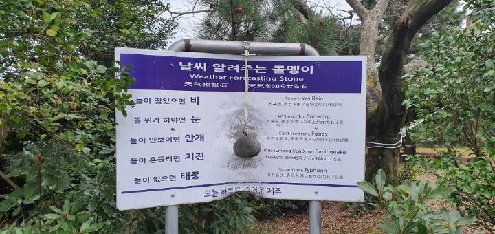 생각보다 정확한 제주도 날씨 알려주는 돌멩이 | 인스티즈