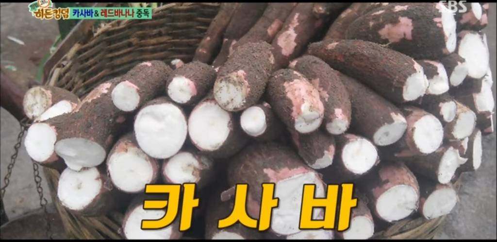 버블티 펄 만들때 들어간다는 구황작물......jpg | 인스티즈