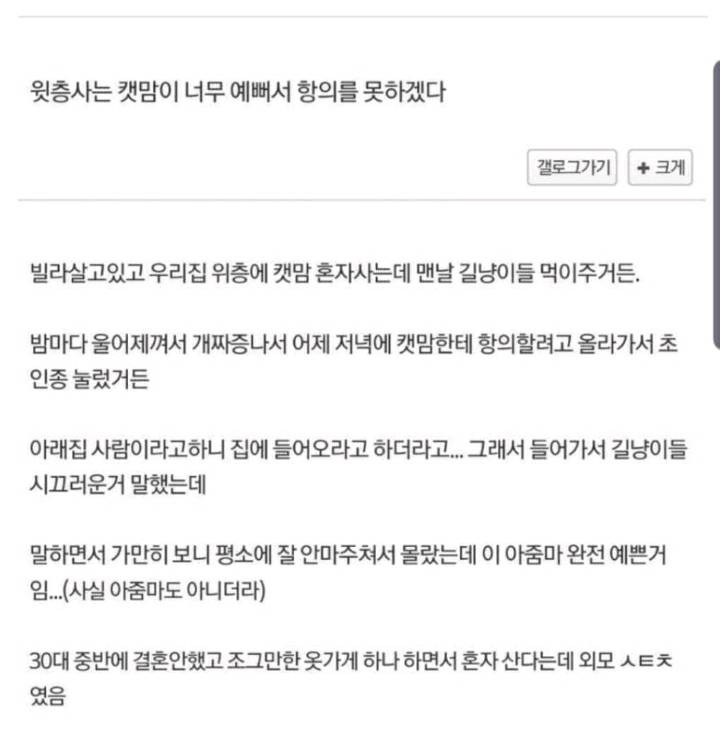 윗층사는 캣맘이 너무예뻐서 항의를 못하겠다 | 인스티즈