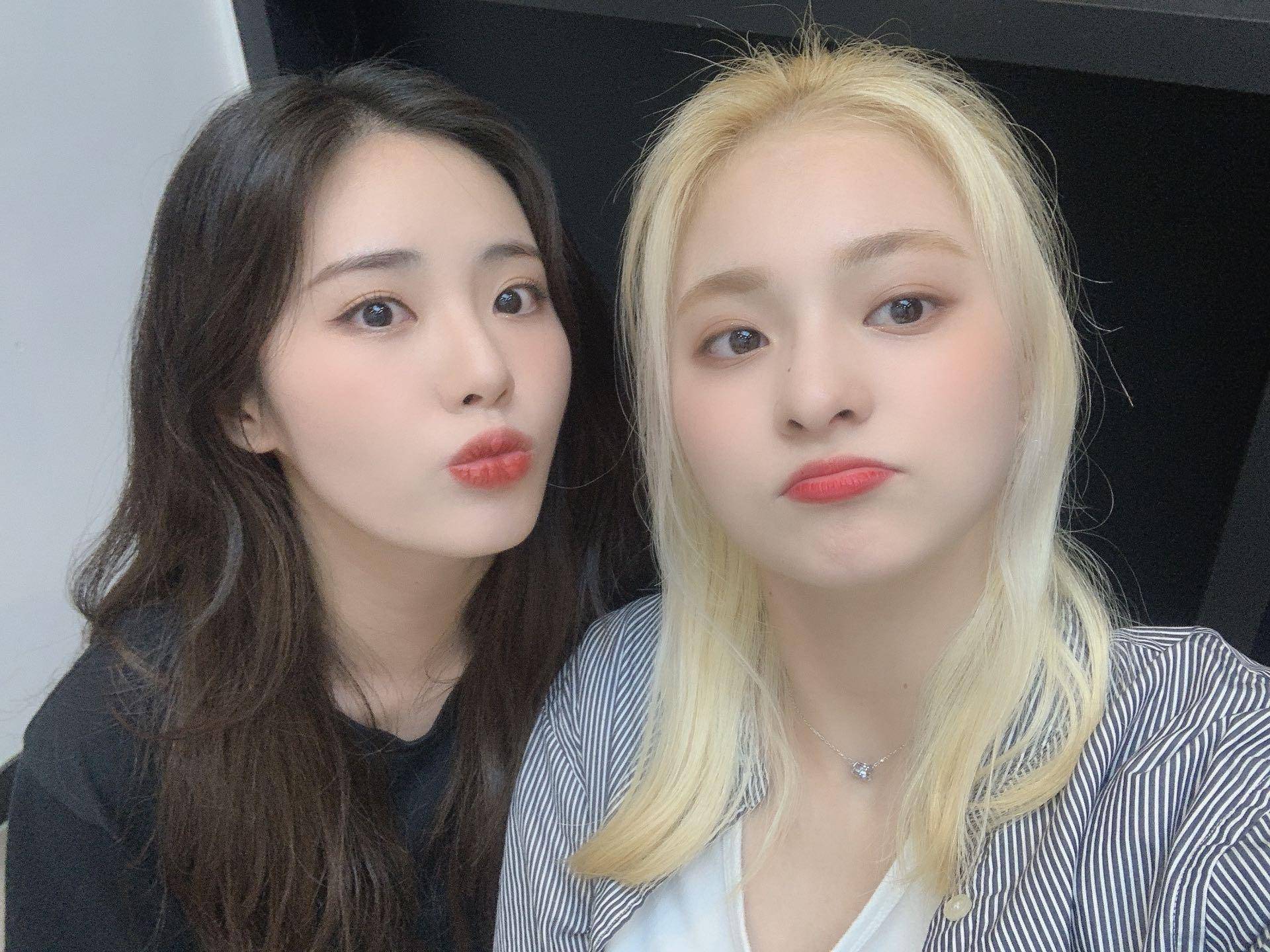 V라이브 채널에 올라온 프로미스나인 총 정리 2탄 | 인스티즈