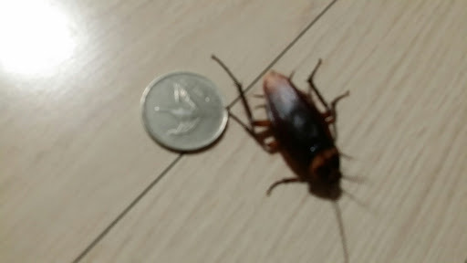 이중 하나의 방을 골라 2주 버티면 200억 제공 어느 방을 선택할 것인가? (주의) | 인스티즈