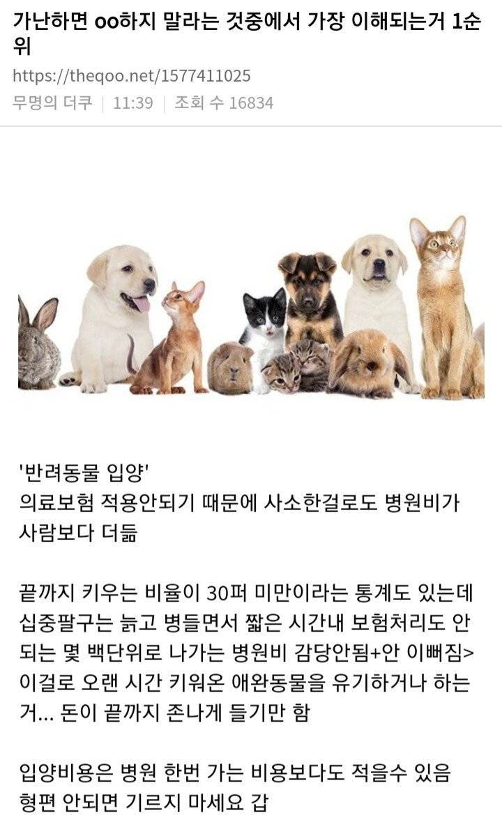 가난하면 oo하지 말라는 것중에서 가장 이해되는거 1순위.jpg | 인스티즈