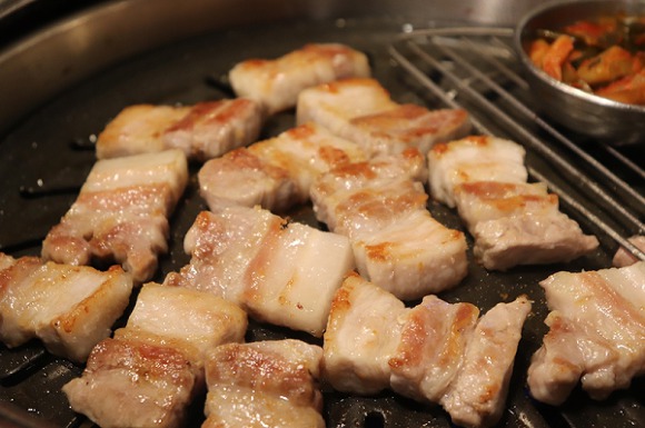 피할 수 없어서 즐기는 디시인 | 인스티즈