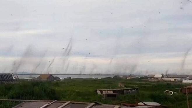 토네이도?? ㄴㄴ 모기가 이상 증식해서 모기토네이도...ㄷㄷㄷ.gif | 인스티즈