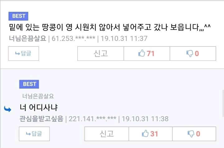 청설모한테 소매넣기당함 | 인스티즈