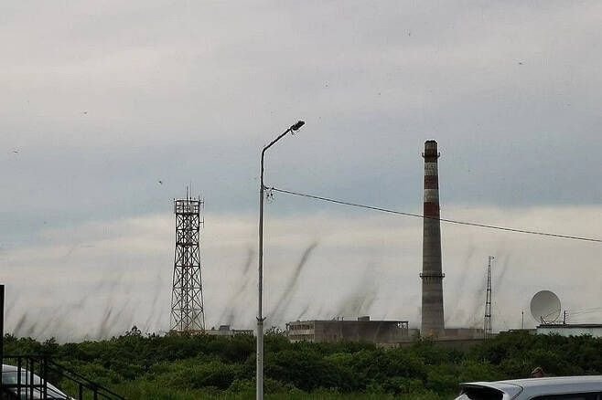 토네이도?? ㄴㄴ 모기가 이상 증식해서 모기토네이도...ㄷㄷㄷ.gif | 인스티즈