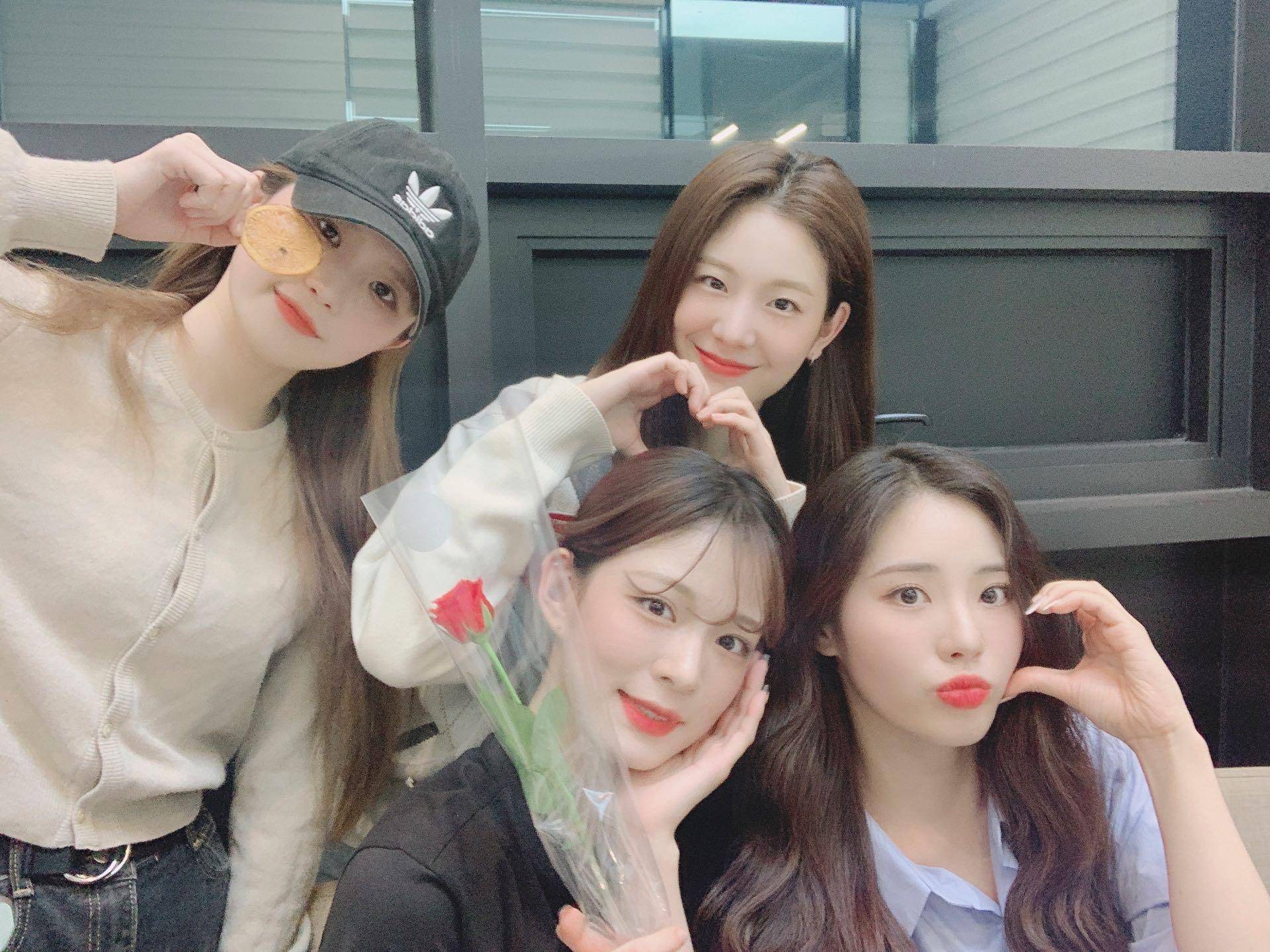 V라이브 채널에 올라온 프로미스나인 총 정리 2탄 | 인스티즈