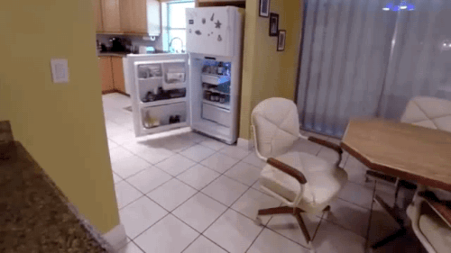 우리집 개가 혼자 냉장고를 열고 밥을 먹었다니깐? | 인스티즈