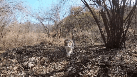유투버 haha ha님의 지독한 껌딱지가 되어버린 듯한 무.. | 인스티즈