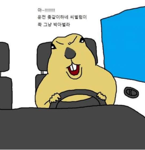 운전하다 개빡치는 만화 | 인스티즈