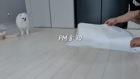 송대익 유튜브 근황 | 인스티즈