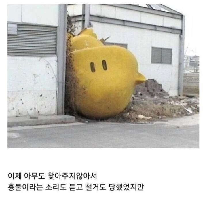 꿈돌이 근황 | 인스티즈