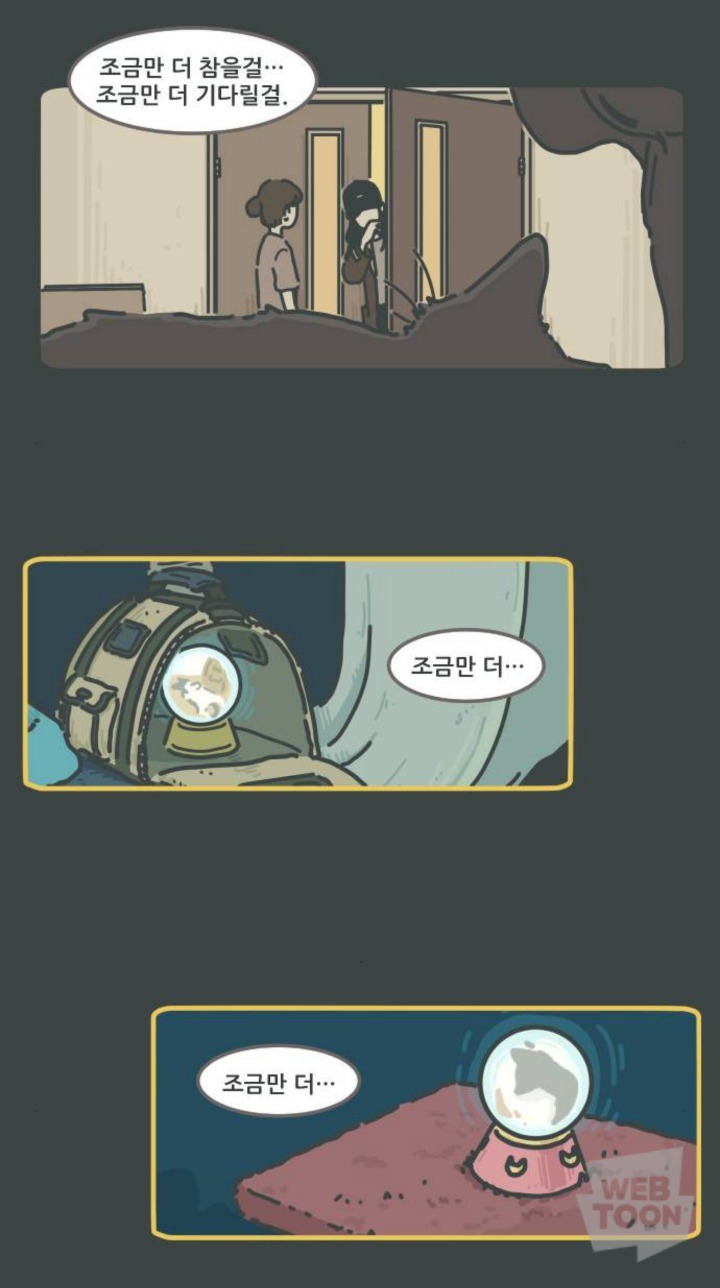 병원에서 죽음을 맞이한 고양이와 마지막을 지키지 못한 주인 | 인스티즈