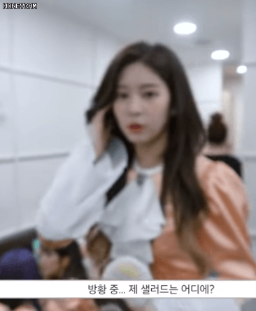 걸그룹 다이어트 고충 ㄷㄷ.gif | 인스티즈