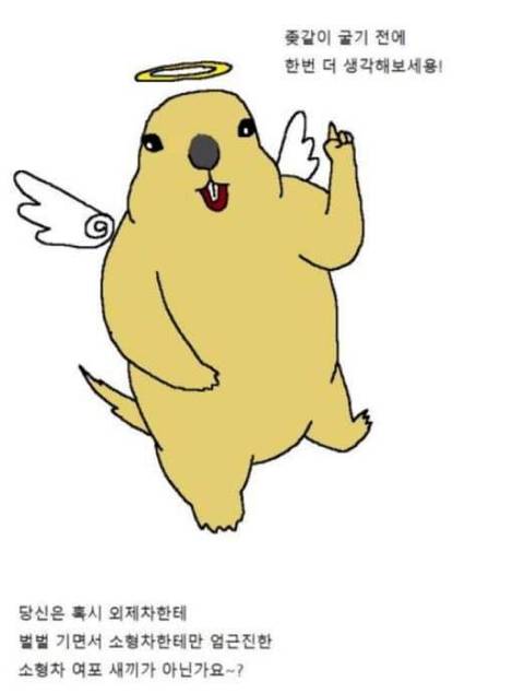 운전하다 개빡치는 만화 | 인스티즈