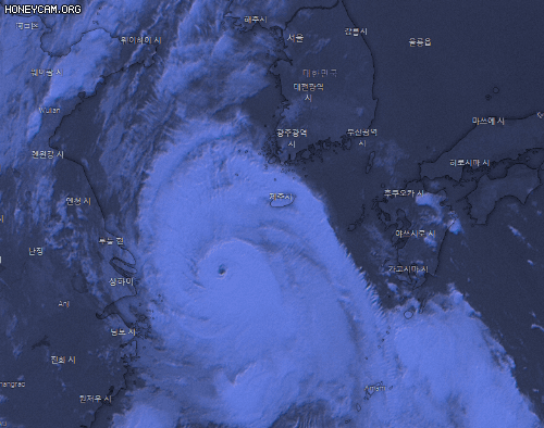 태풍 실시간 위성 근황....gif | 인스티즈
