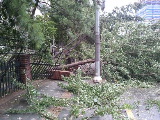 2010년 9월 태풍 곤파스.jpg | 인스티즈