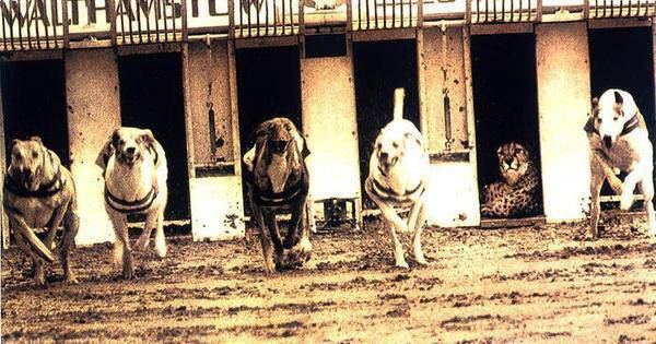 SKT는 지금 웃고 있다 | 인스티즈